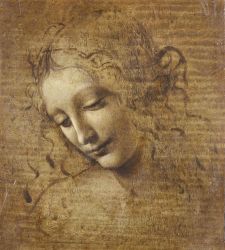 Leonardo da Vinci's "Scapiliata": fortunes, studies and new hypotheses on display in Parma 