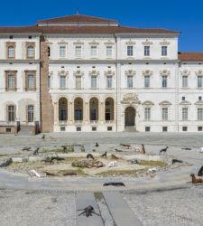 I cani di Velasco Vitali sono in mostra alla Venaria Reale nella rassegna &ldquo;Branco&rdquo;