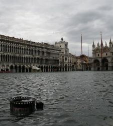 Why has the high water drama in Venice unleashed legions of haters on social media?