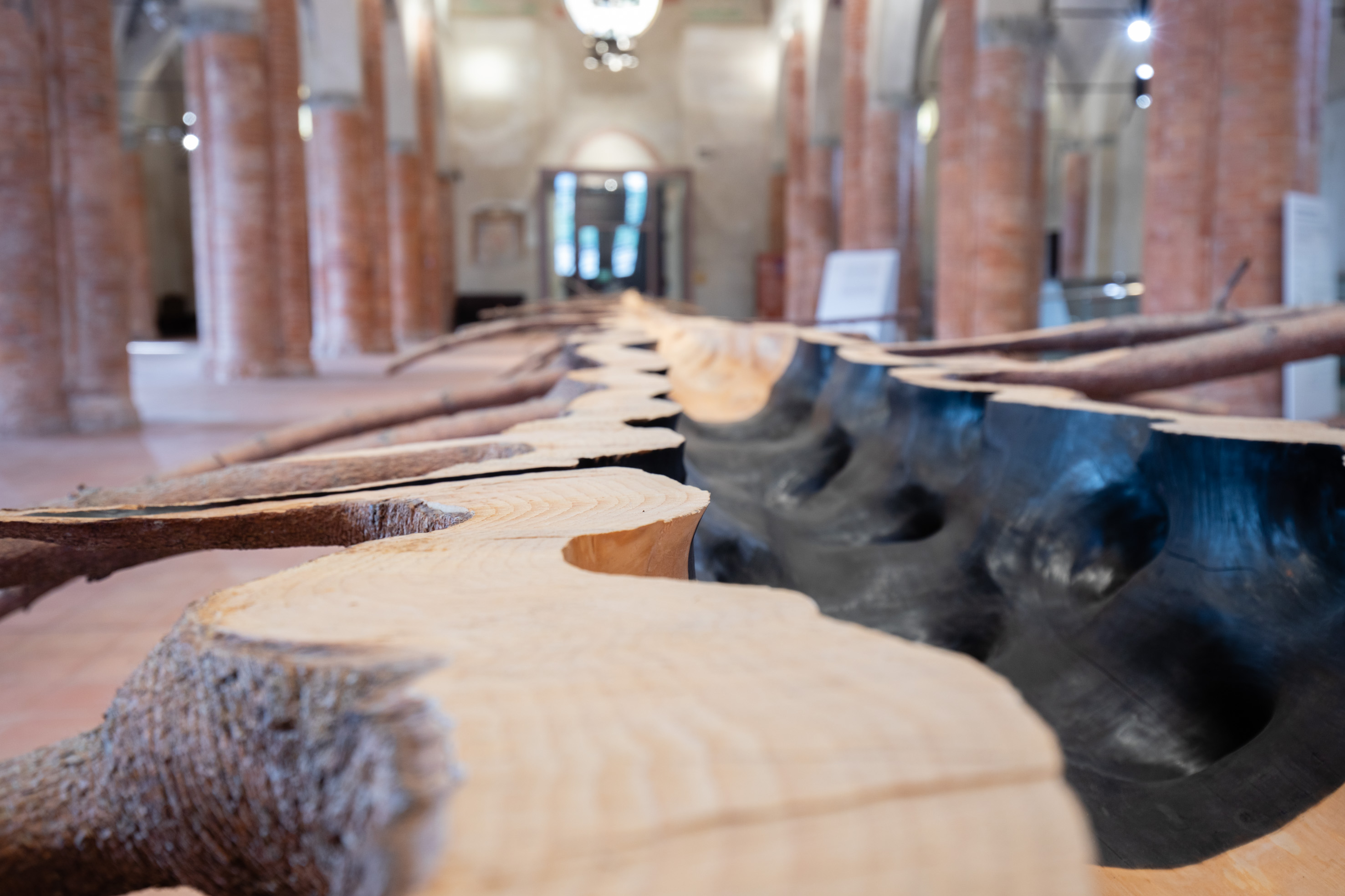 Giuseppe Penone, Matrice (2015; legno di abete e bronzo, 110 x 250 x 3000 cm; Collezione privata). Exhibition view, Incidenze del vuoto @ Cuneo, chiesa di San Francesco