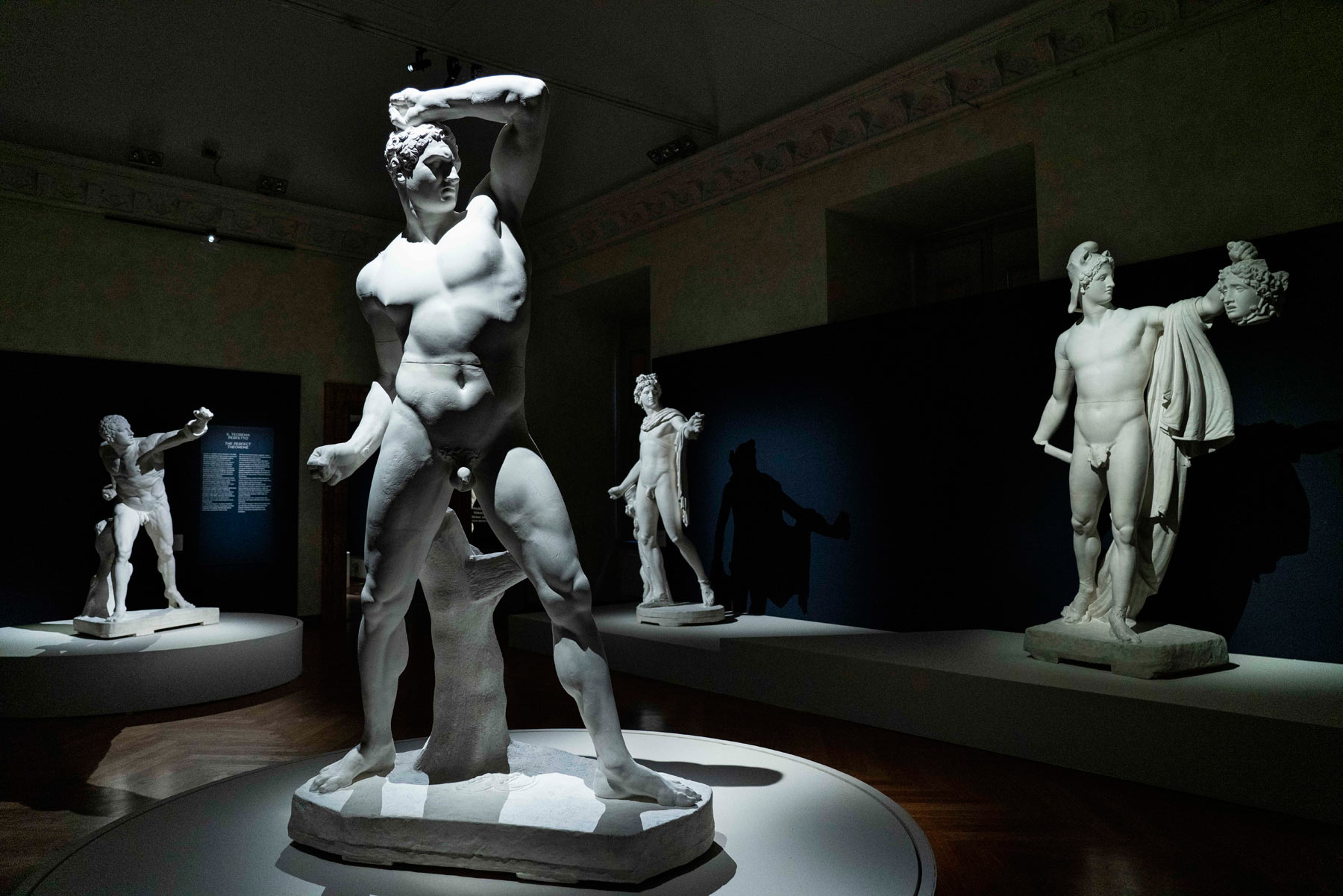 Sala della mostra Canova. Eterna bellezza Sala della mostra Canova. Eterna bellezza