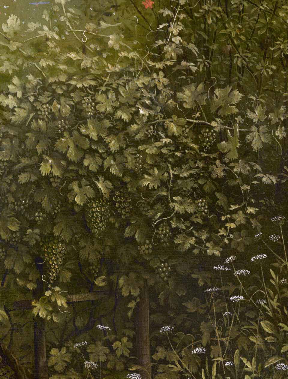 Jan van Eyck e Hubert van Eyck, Polittico dell’Agnello Mistico, dettaglio dell'uva nel pannello centrale
