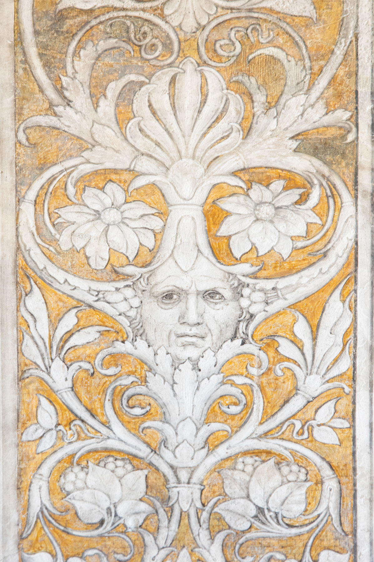 L'autoritratto di Mantegna. Ph. Credit Alessandro Pasquali - Danae Project
