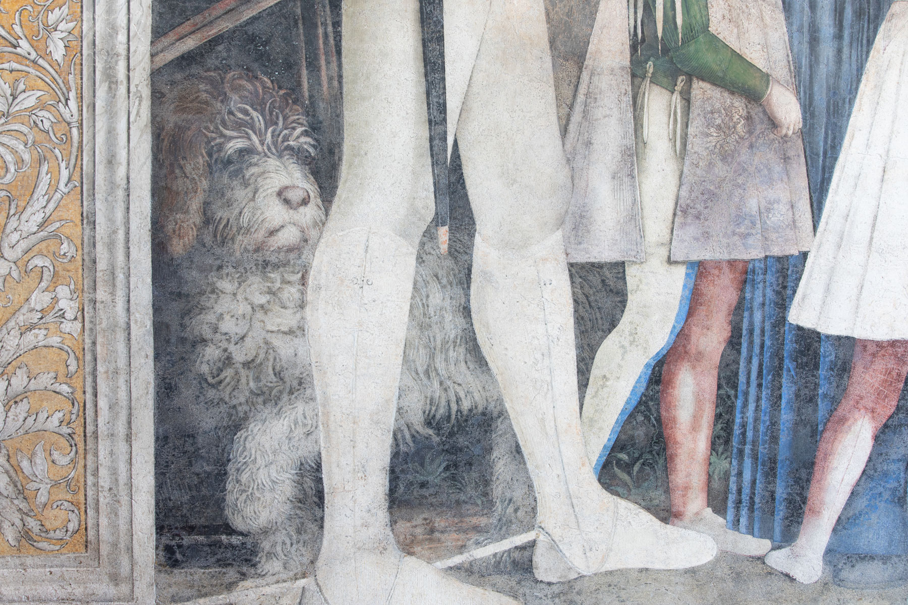 Lo spinone. Ph. Credit Alessandro Pasquali - Danae Project
