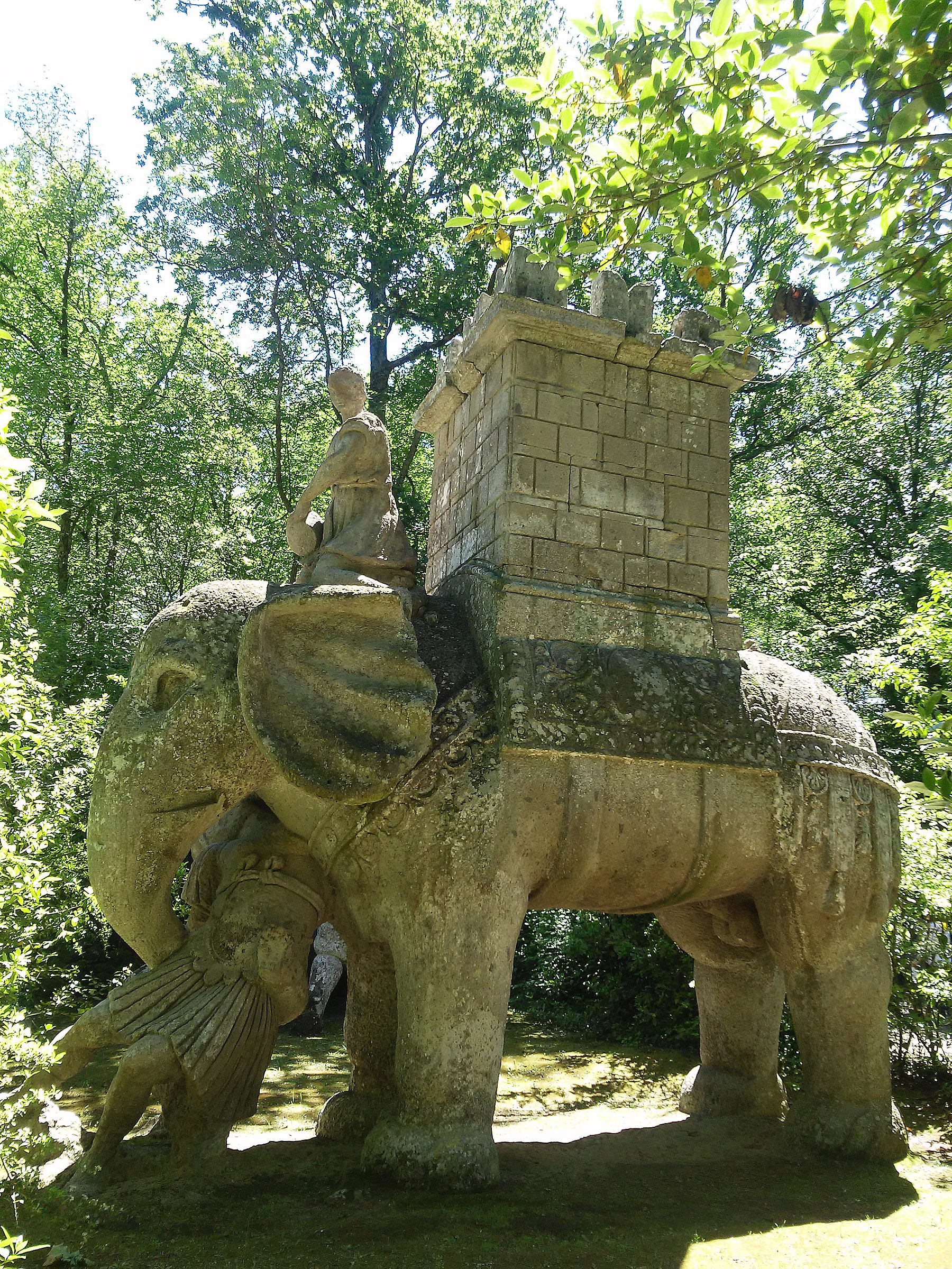 L'elefante
