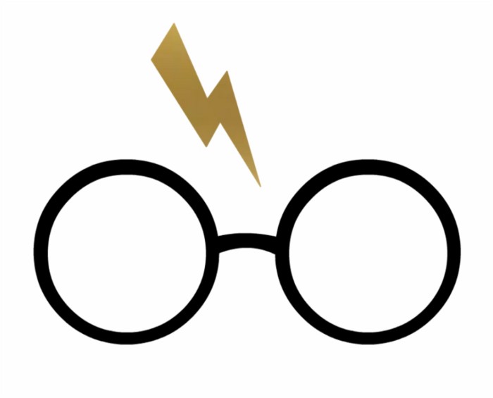 Occhiali di Harry Potter
 Occhiali di Harry Potter