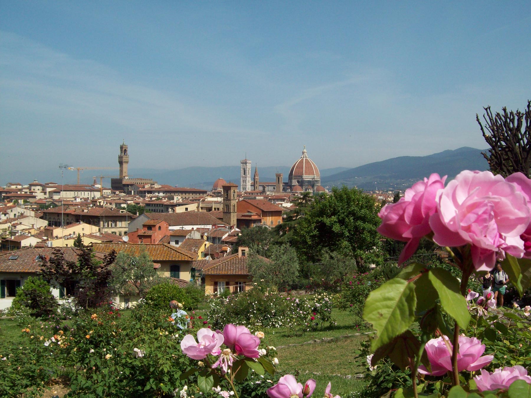 Il Giardino delle Rose
