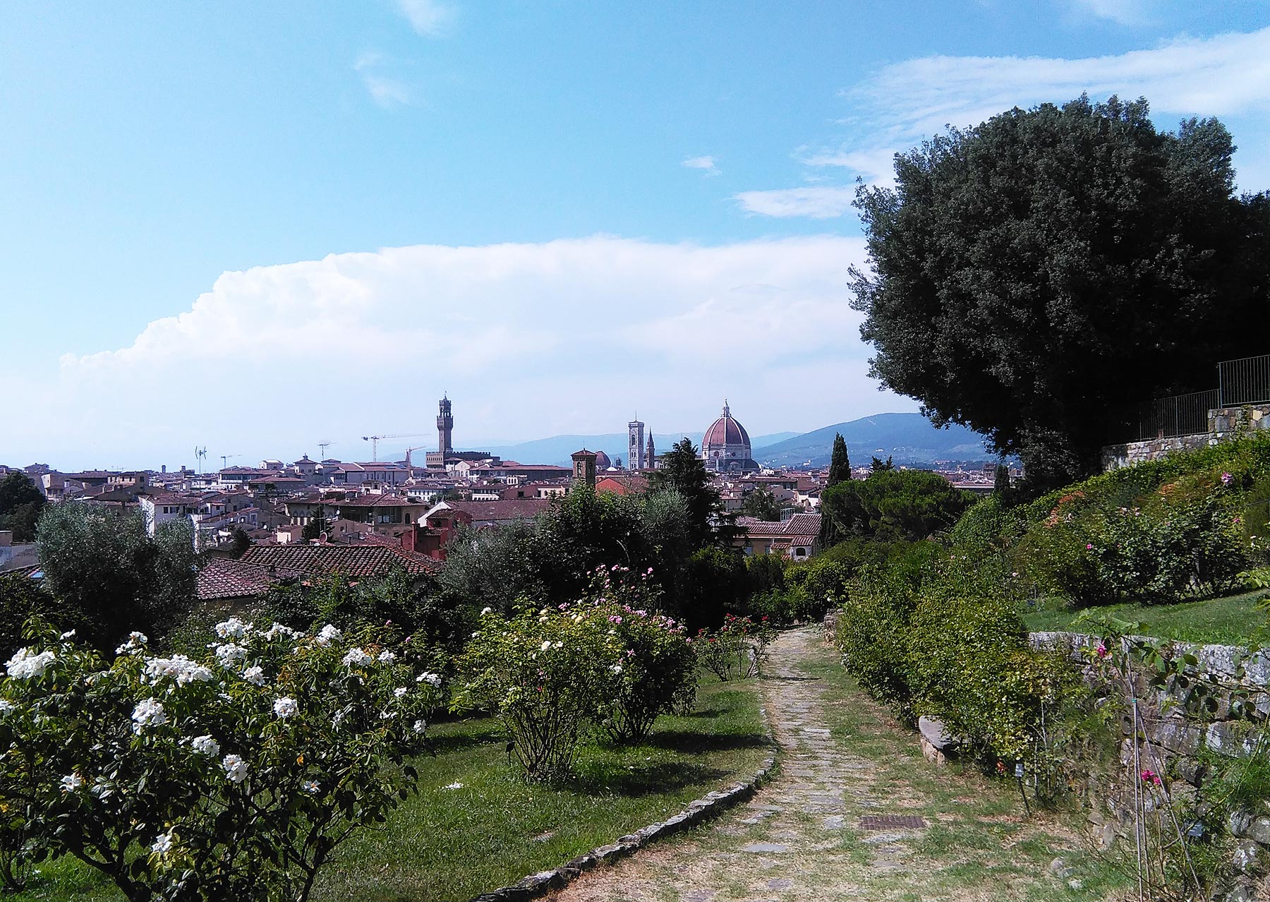 Il Giardino delle Rose
