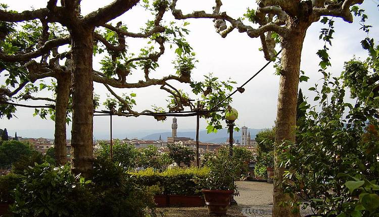 Il Giardino delle Rose
