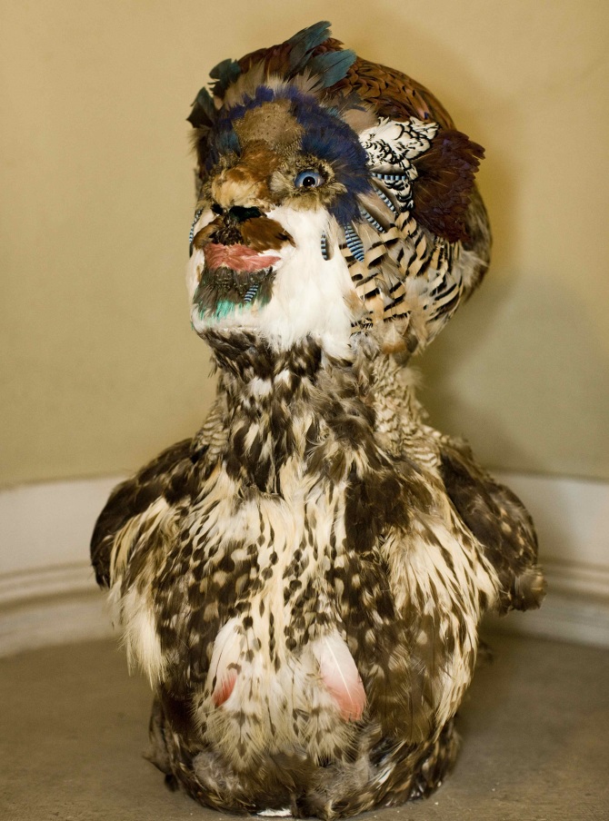 Bugo, Untitled (2009; gesso, vetro, segatura, piume, 31 x 56 x 33 cm)
