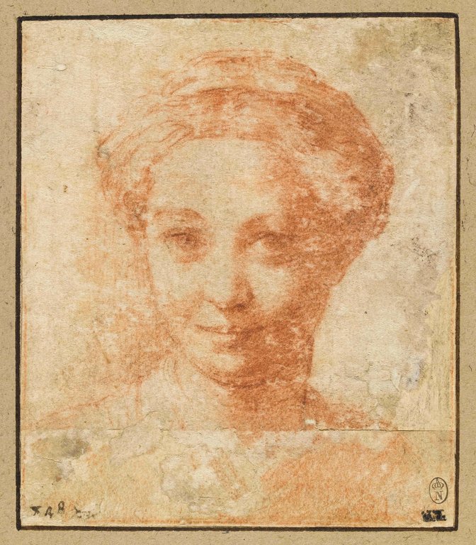 Parmigianino, Studio per volto femminile (1530 circa; sanguigna su carta, 101 x 87 mm; Parigi, Louvre, Cabinet des Dessins, inv. 6523)
 Parmigianino, Studio per volto femminile (1530 circa; sanguigna su carta, 101 x 87 mm; Parigi, Louvre, Cabinet des Dessins, inv. 6523)