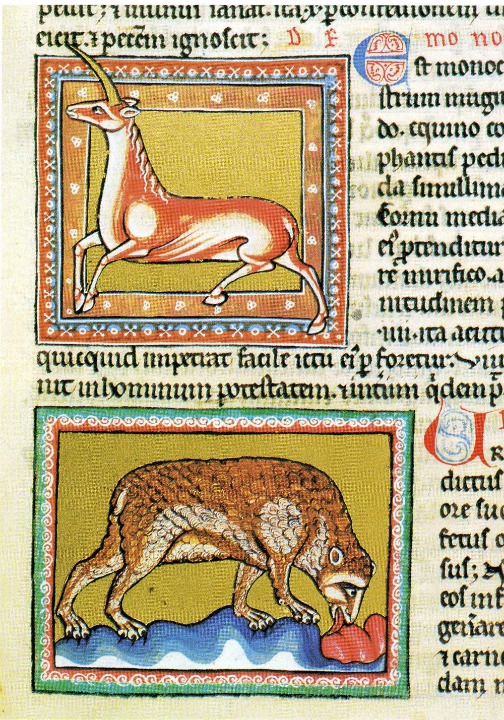 Miniatore inglese, Unicorno e orso, dal bestiario Ashmole, f. 21r (inizi del XIII secolo, Peterborough?; Oxford, Bodleian Library, ms. Ashmole 1511)
 Miniatore inglese, Unicorno e orso, dal bestiario Ashmole, f. 21r (inizi del XIII secolo, Peterborough?; Oxford, Bodleian Library, ms. Ashmole 1511)