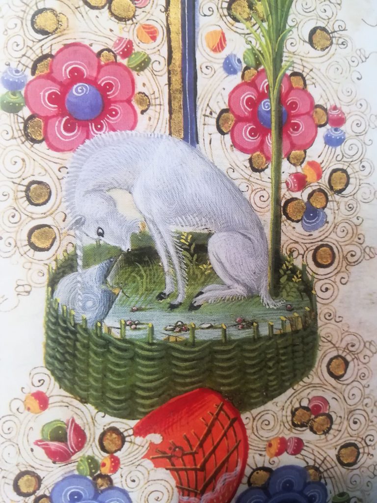 Taddeo Crivelli e altri, Unicorno, dalla Bibbia di Borso d'Este (1455-1461; Modena, Biblioteca Estense, Ms. Lat. 422-423)
 Taddeo Crivelli e altri, Unicorno, dalla Bibbia di Borso d'Este (1455-1461; Modena, Biblioteca Estense, Ms. Lat. 422-423)