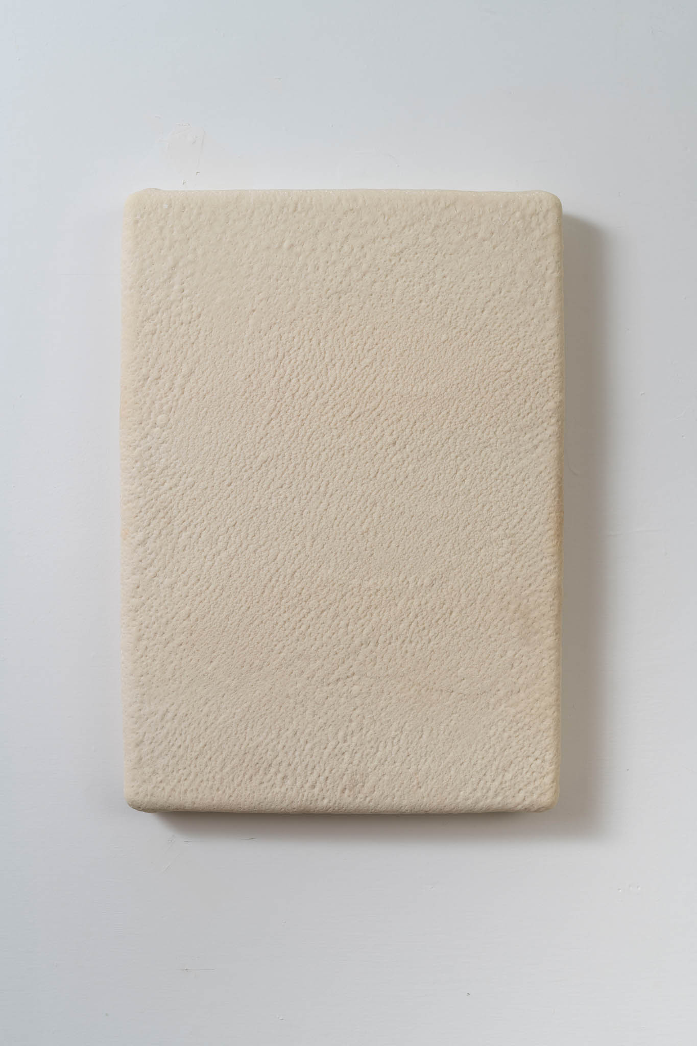 Namsal Siedlecki, Deposizione VIII
