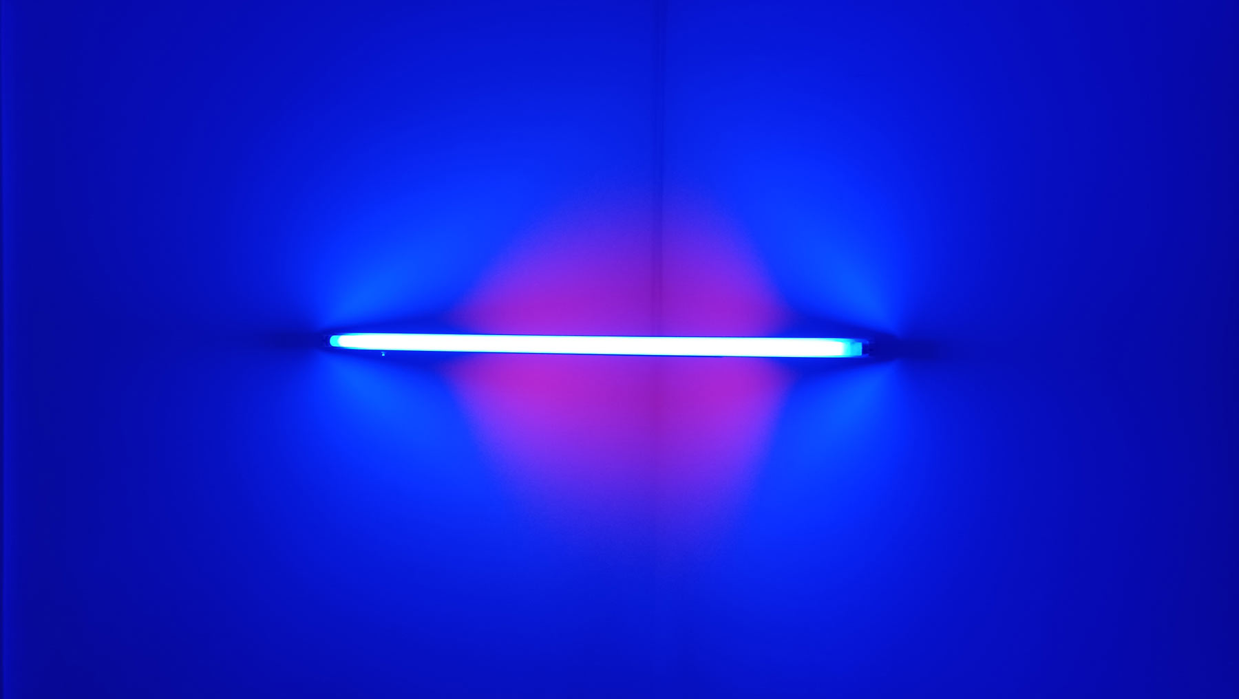 Dan Flavin, Senza titolo (Blue and Red Fluorescent Light) (1970 circa; neon, 122,5 x 61,5 cm; Ginevra, MAMCO)

