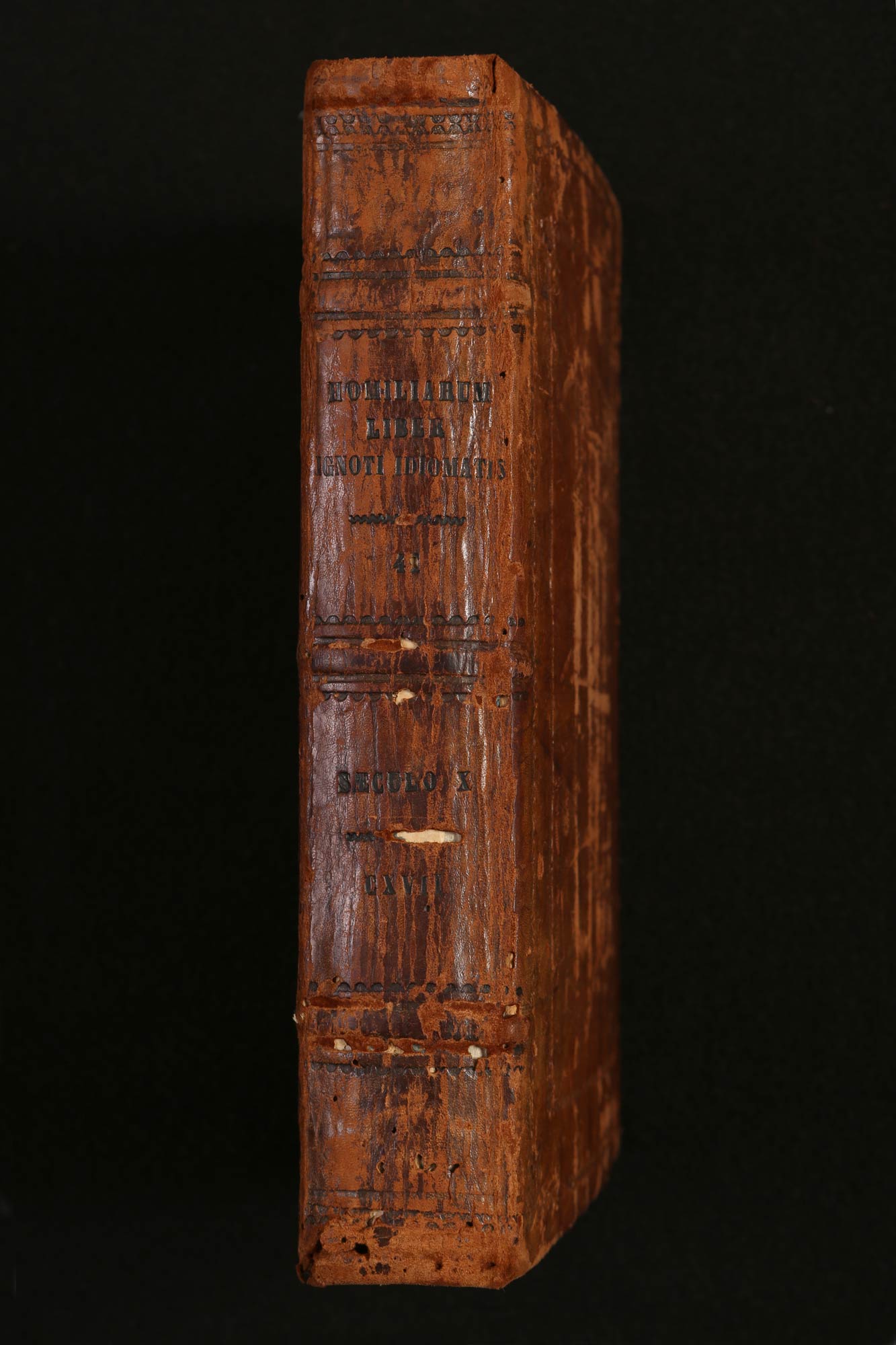 Dorso della legatura settecentesca del Vercelli Book con la scritta Homiliarum liber ignoti idiomatis
