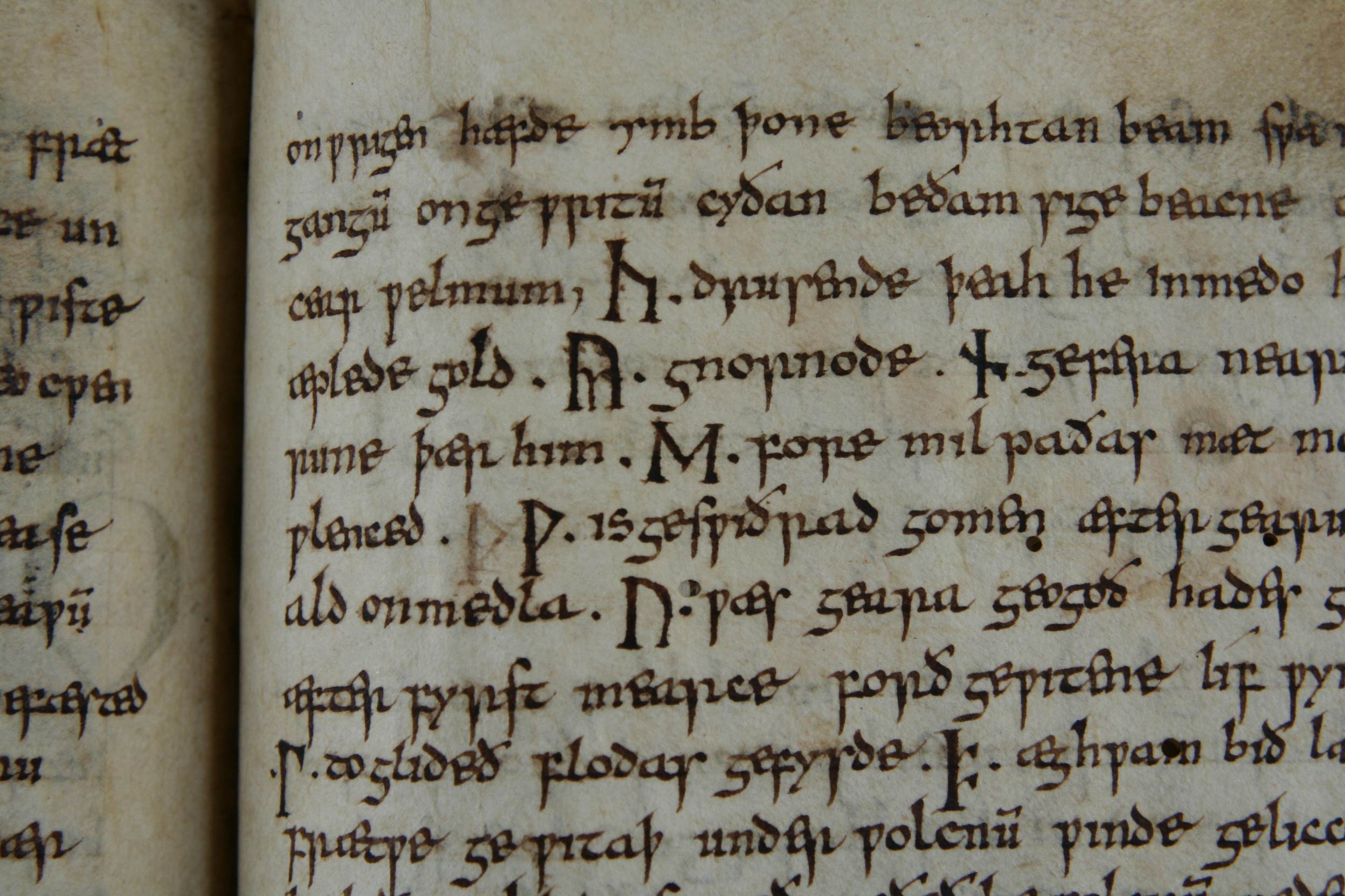 particolare pagina con le otto rune che formano il nome del poeta Cynewulf, foglio 133r
