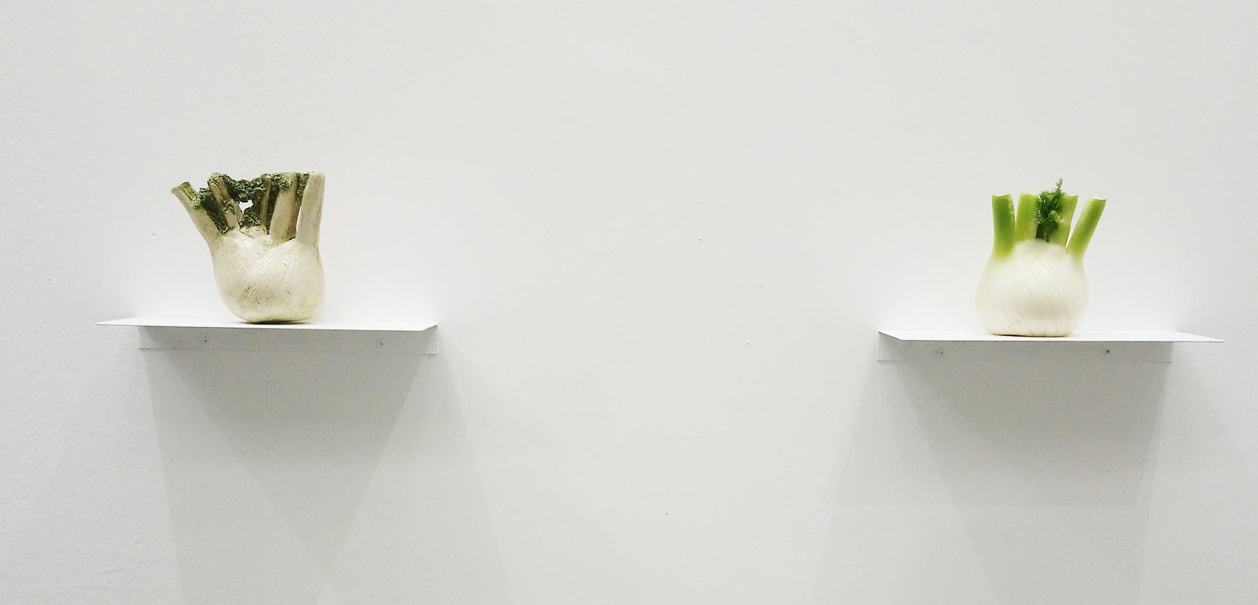 I finocchi di De Mattia allo stand di Matèria I finocchi di De Mattia allo stand di Matèria