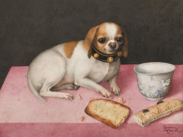 Giovanna Garzoni, Canina con biscotti e una tazza cinese (1648; tempera su pergamena, 275 x 395 mm; Firenze, Gallerie degli Uffizi, inv. Pal. 4770)
 Giovanna Garzoni, Canina con biscotti e una tazza cinese (1648; tempera su pergamena, 275 x 395 mm; Firenze, Gallerie degli Uffizi, inv. Pal. 4770)