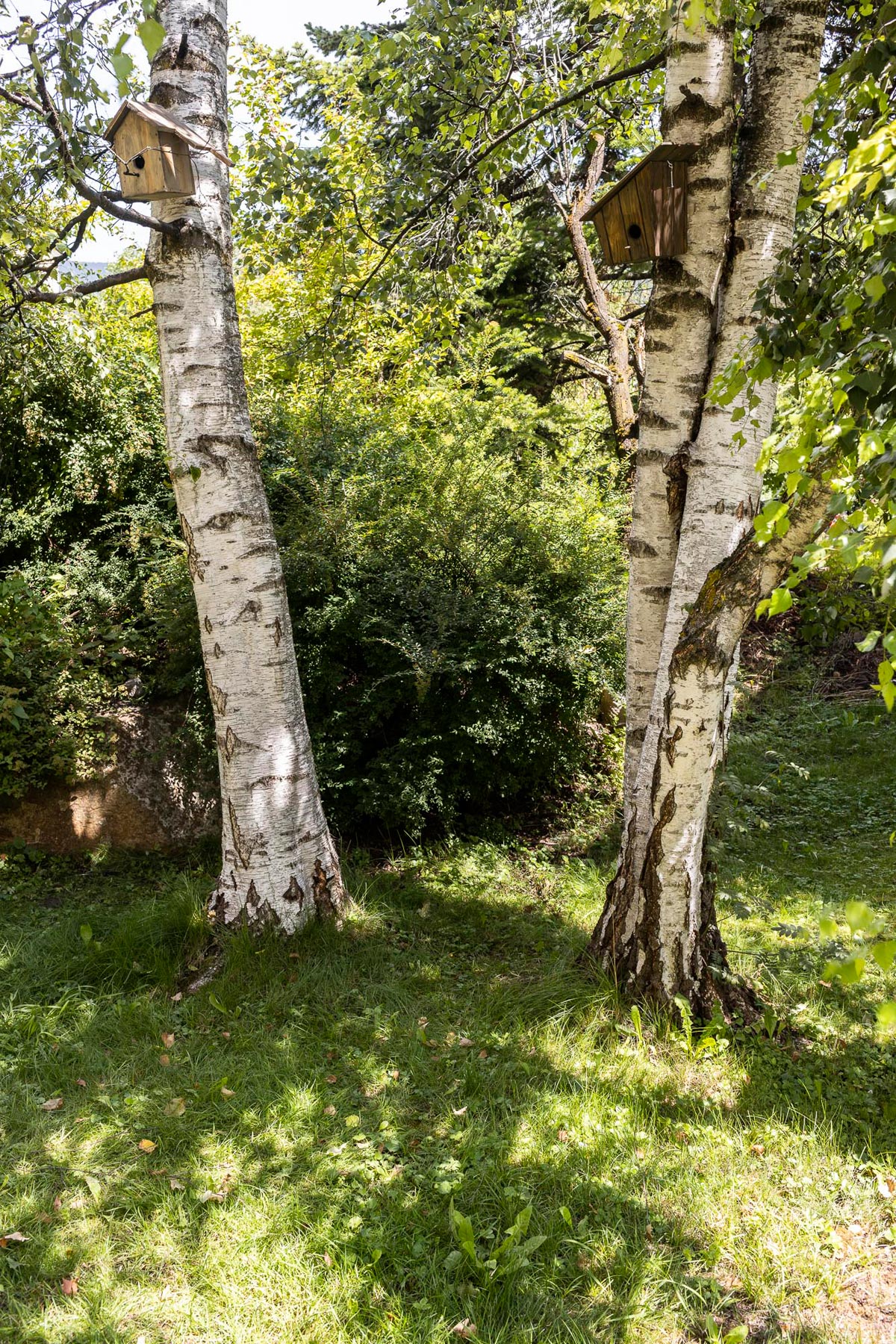 Petrit Halilaj & Alvaro Urbano, Alvaro At Night 3, Petrit At Night 2, 2020. Courtesy of the artists, Kamel Mennour, Paris and Travesia Quatro, Ciudad de Mexico. Ph. T.Sorvillo L.Guadagnini
