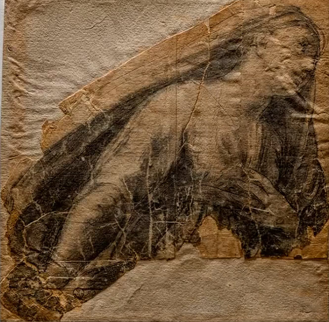 Immagine del cartone a luce radente
