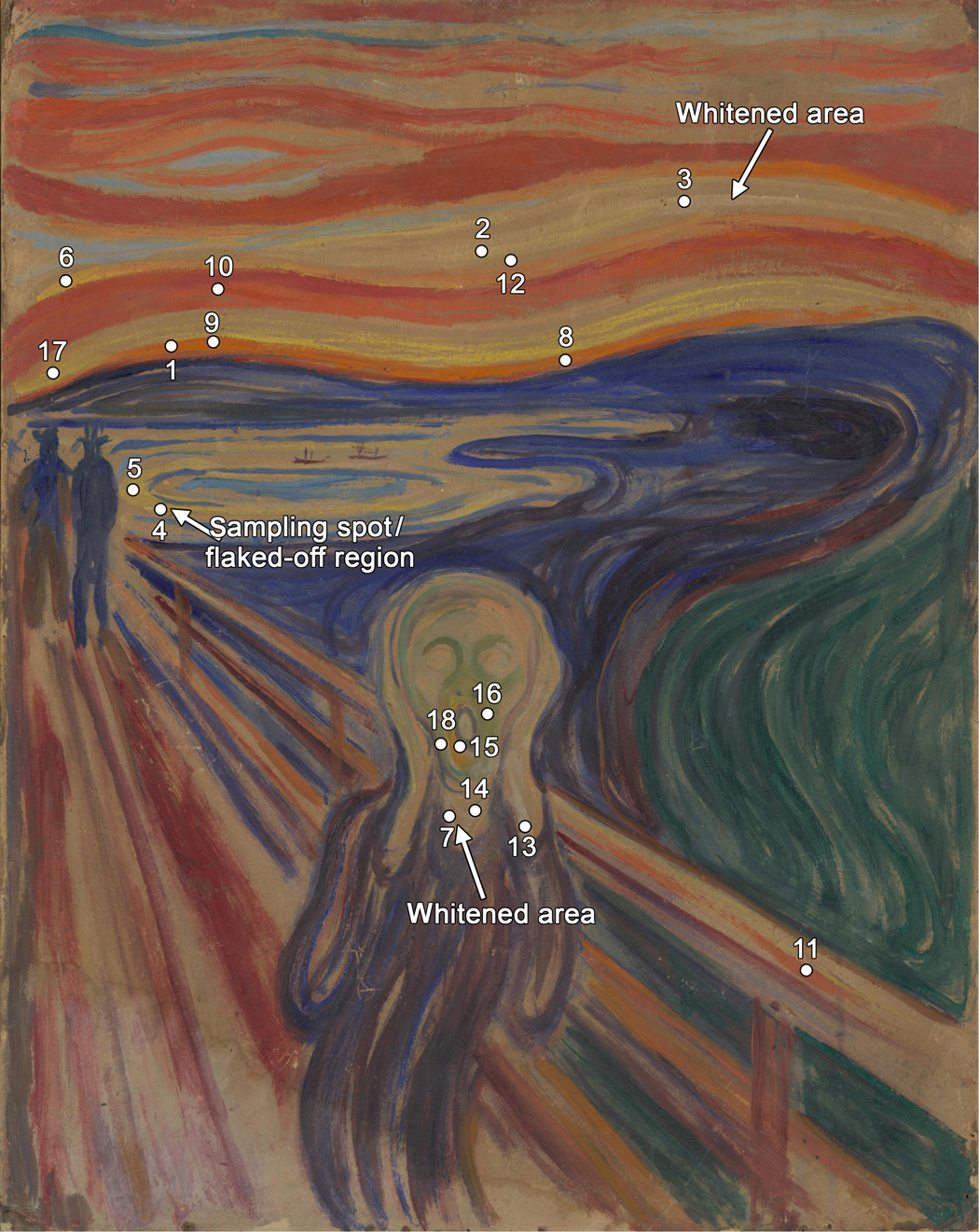 I problemi del dipinto: scolorimento (whitening) e desquamazione (flaking) I problemi del dipinto: scolorimento (whitening) e desquamazione (flaking)