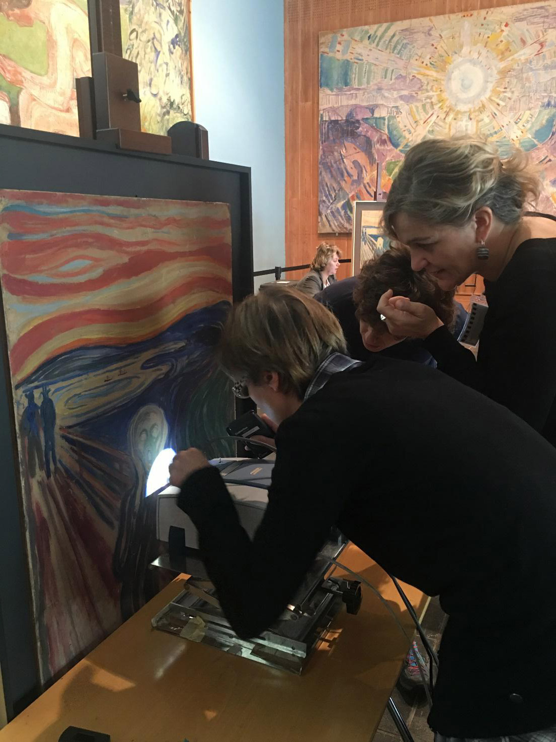 Da sinistra a destra: Francesca Rosi, Costanza Miliani e Laura Cartechini mentre eseguono analisi non invasive di spettroscopia infrarossa con strumentazione portatile sull'opera. Ph. Credit MOLAB (CNR-SCITEC, Italia)
 Da sinistra a destra: Francesca Rosi, Costanza Miliani e Laura Cartechini mentre eseguono analisi non invasive di spettroscopia infrarossa con strumentazione portatile sull'opera. Ph. Credit MOLAB (CNR-SCITEC, Italia)