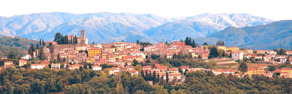 View of Barga, dominated by the cathedral