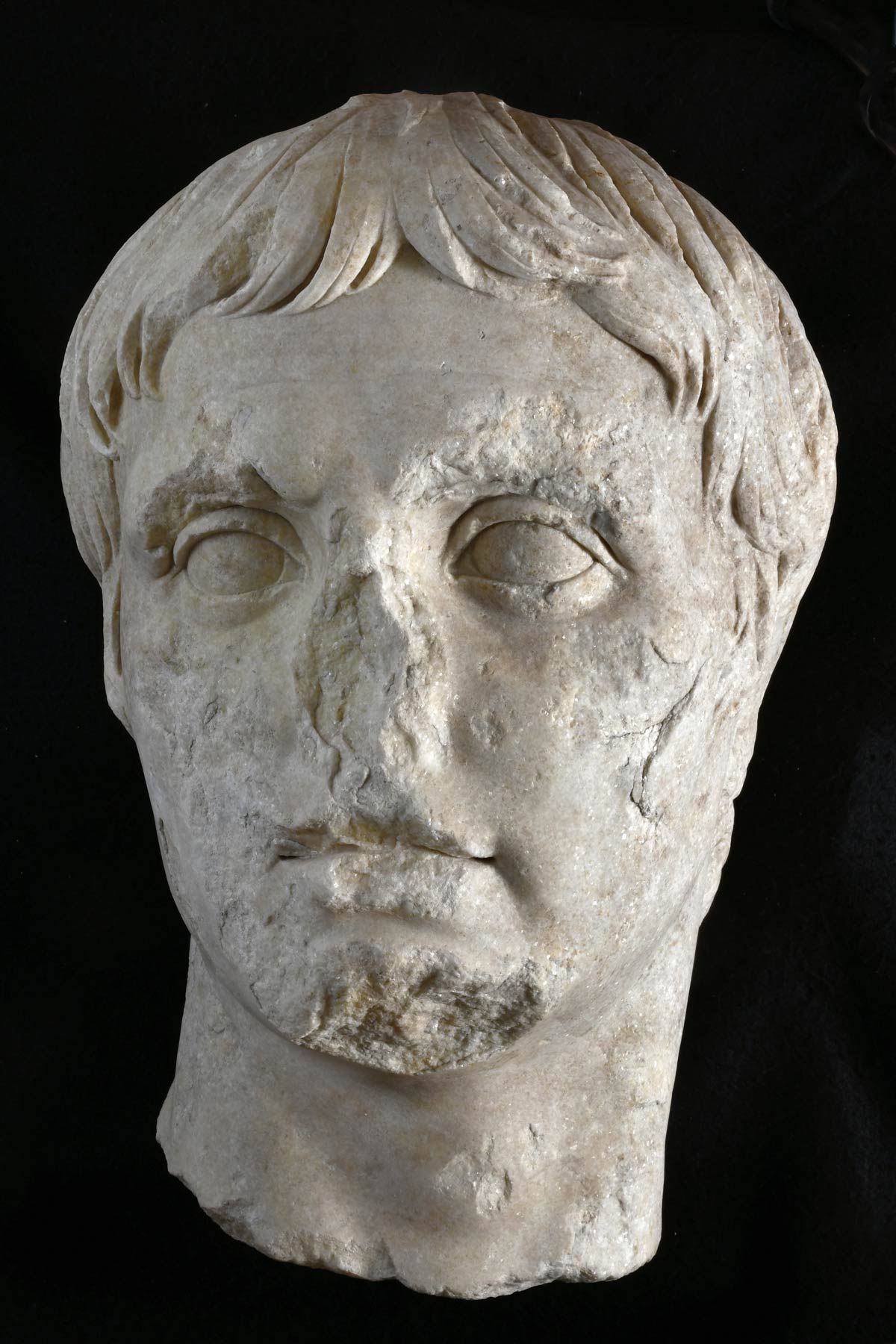 La testa di Augusto dopo le operazioni di pulitura
 La testa di Augusto dopo le operazioni di pulitura