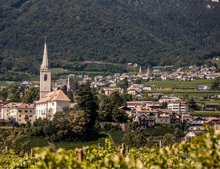 Veduta di Caldaro sulla Strada del Vino