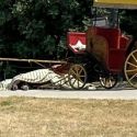 Dopo la morte del cavallo, la Reggia di Caserta impone lo stop al servizio carrozze