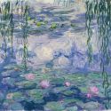 Le Ninfee di Monet in mostra a Genova, a Palazzo Ducale