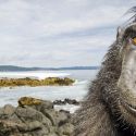 Le spettacolari fotografie di animali di Stefano Unterthiner sono in mostra al Forte di Bard