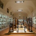 Oltre 170 opere digitalizzate, tour e mostra virtuali: la Fondazione Scienza e Tecnica di Firenze entra in Google Arts & Culture