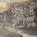 Importante scoperta archeologica nelle Marche: rinvenuto un guerriero di età picena