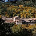 Un trekking tra arte, natura e foliage nelle Foreste Casentinesi verso Camaldoli