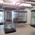 Crotone, i cittadini denunciano i gravi problemi del Museo Archeologico Nazionale