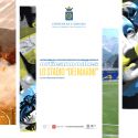 Carrara, un progetto di arte pubblica per lo Stadio dei Marmi coinvolge artisti, esperti e studenti