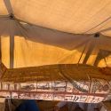 Egitto, scoperti 27 sarcofagi di 2.500 anni fa ben conservati