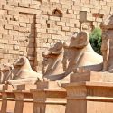 Egitto, quattro sfingi da Luxor spostate in mezzo a una rotatoria al Cairo. Gli archeologi sono schifati