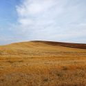 Uno sguardo inedito dentro e fuori le mura di Siena con gli scatti di Stefano Vigni