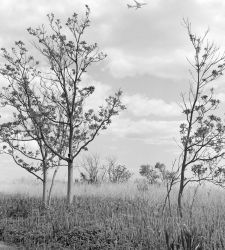 Una New York insolita e periferica nelle fotografie di Antonio Rovaldi: “Il suono del becco del picchio” in mostra a Bergamo