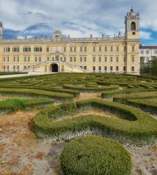 Reggia di Colorno: la passione dei Duchi di Parma per le porcellane europee