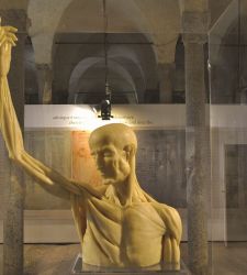 Milano, la Biblioteca Ambrosiana mette a confronto Leonardo da Vinci e Guido da Vigevano e le loro anatomie in figure