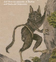 In mostra a Bologna lo zoo di carta, collezione ante litteram di figurine del Settecento