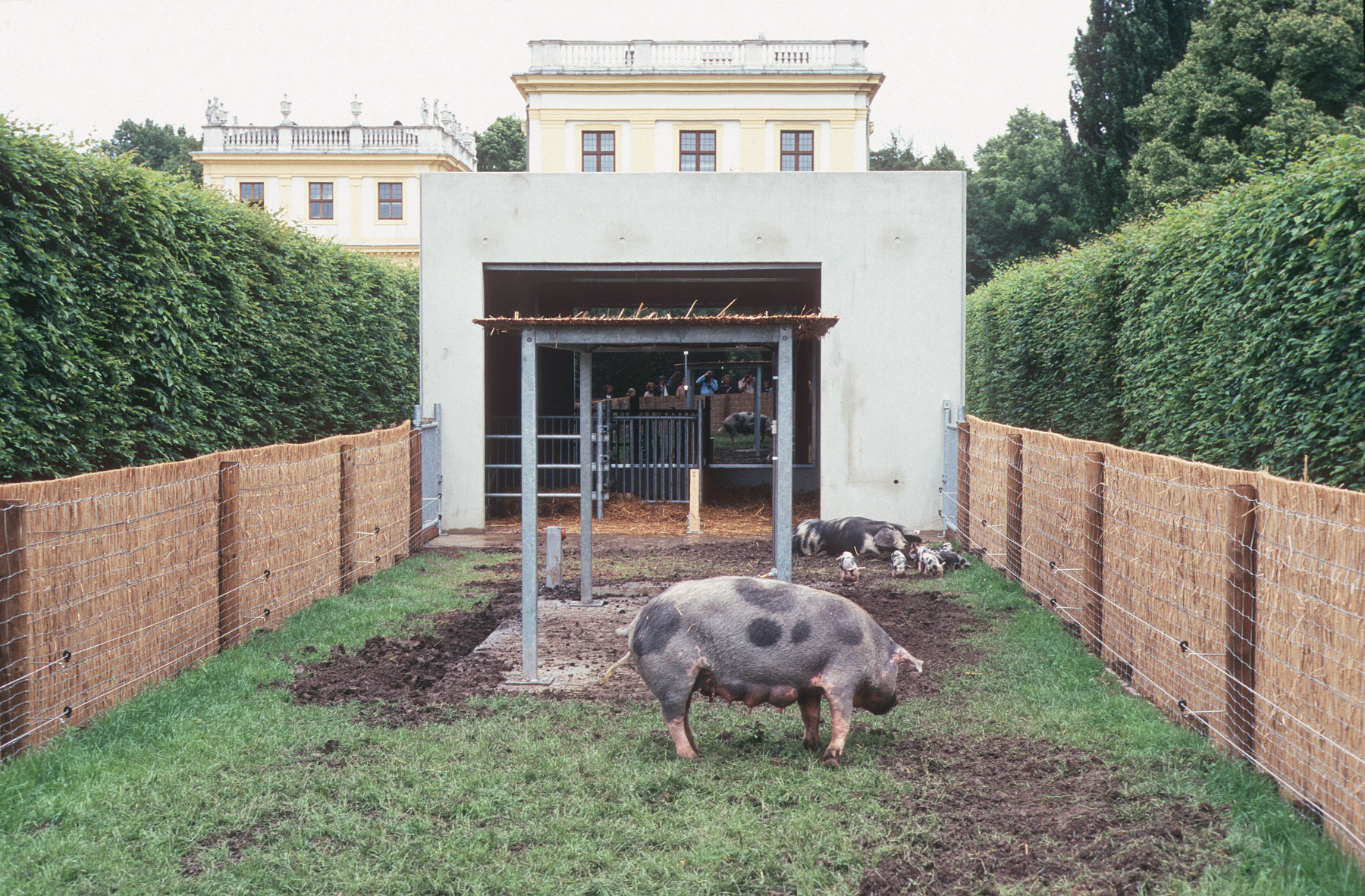 Carsten Höller, Ein Haus für Schweine und Menschen (A house for pigs and people) (1997). Installation view, Kassel, documenta X. Ph. Credit Bernhard Rüffert. © documenta Archiv
 Carsten Höller, Ein Haus für Schweine und Menschen (A house for pigs and people) (1997). Installation view, Kassel, documenta X. Ph. Credit Bernhard Rüffert. © documenta Archiv