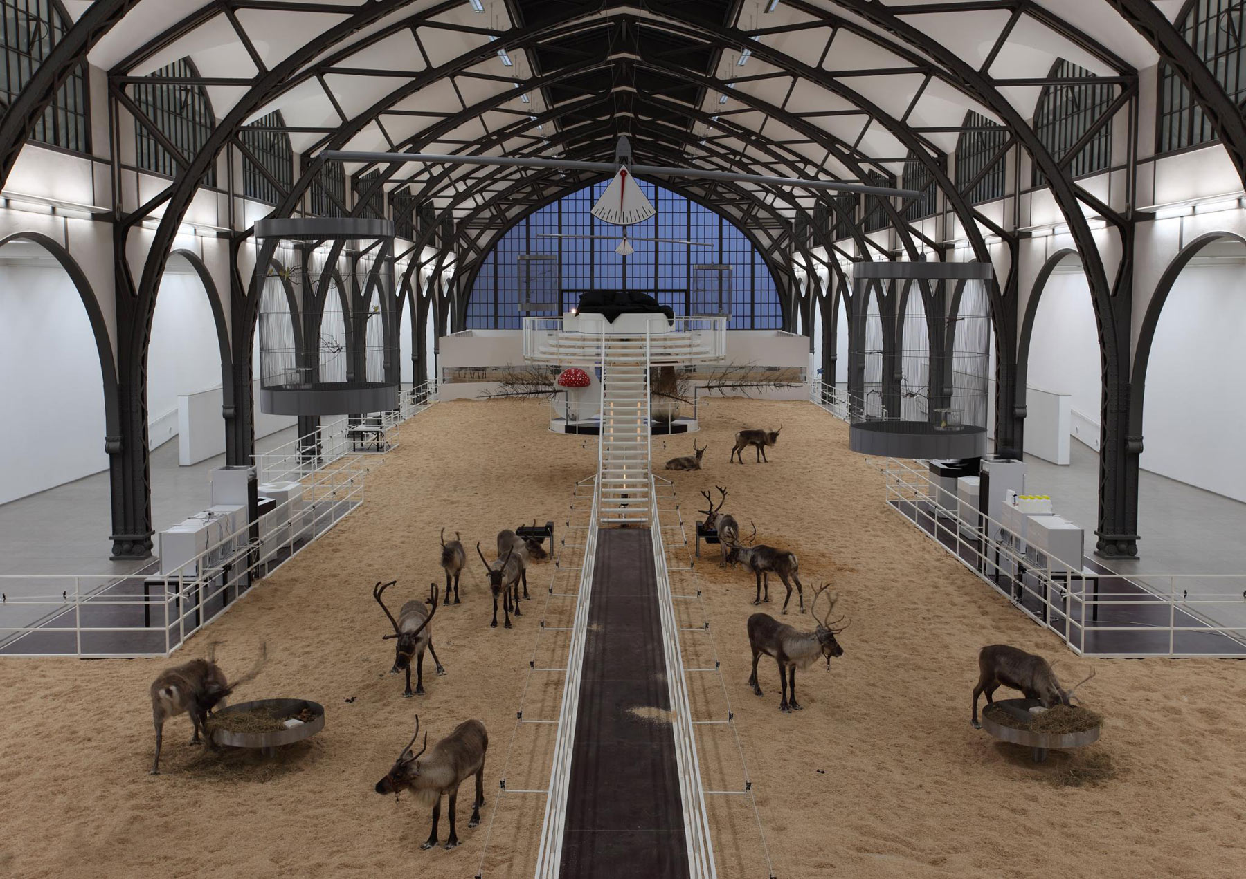Carsten Höller, Soma (2010). Installation view, Berlino, Hamburger Bahnhof Museum für Gegenwart
 Carsten Höller, Soma (2010). Installation view, Berlino, Hamburger Bahnhof Museum für Gegenwart