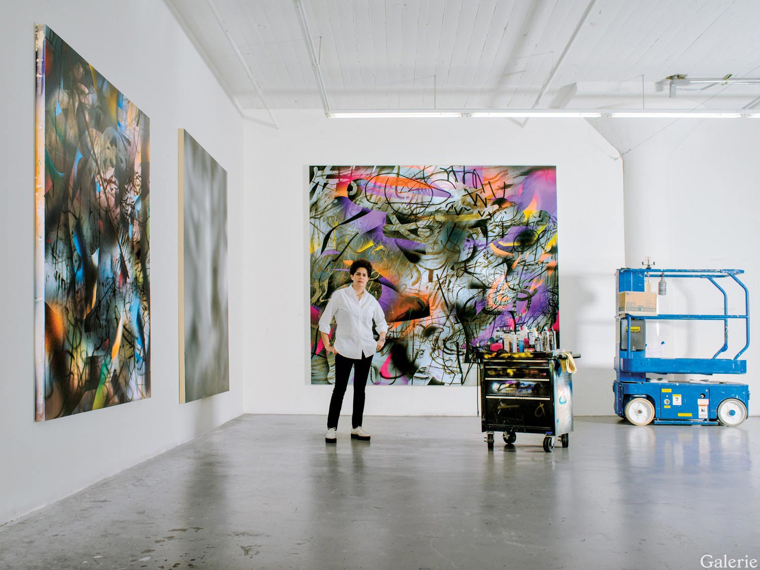Julie Mehretu
 Julie Mehretu
