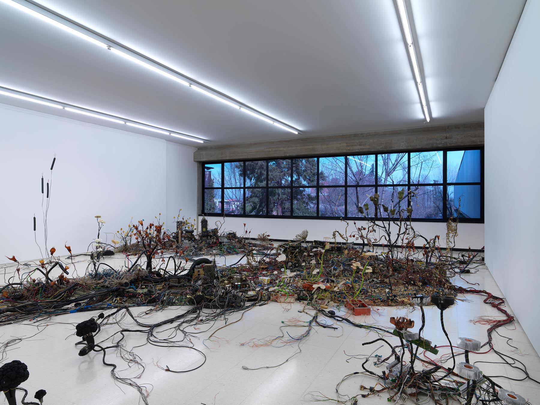 Collezione Maramotti, Veduta di sala, opere di Kri&scaron;tof Kintera Ph. C. Dario Lasagni
