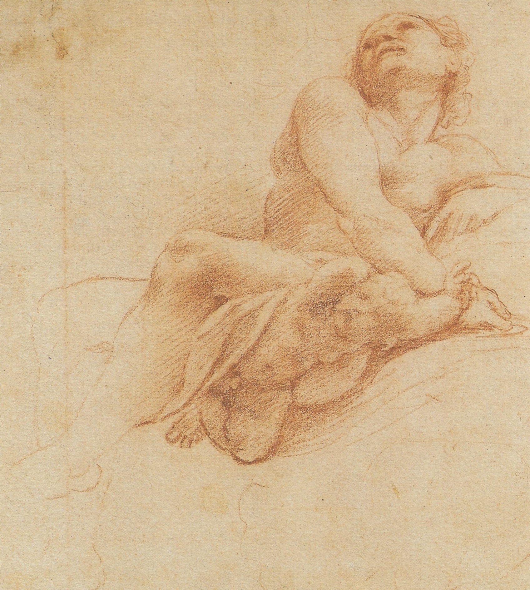 Correggio. Disegno in preparazione dell'affresco della cupola di San Giovanni in Parma. Uno studio estremamente musicale nell'abbandono estatico dell'Apostolo rivolto alla visione beatifica.
